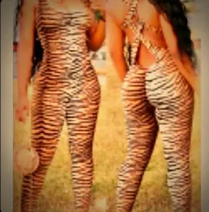 BRAND NEW Tiger Stripe One Piece Catsuit Jrs L