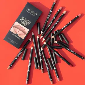 Long Lasting Matte Lip Liner Set, 12pcs/set Outlining Lip Pen, Smudge Proof Tinted Moisturizing Lip Liner, Suitable for All Occasions Makeup Lipliner