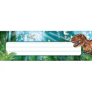 Discovering Dinosaurs Name Plates