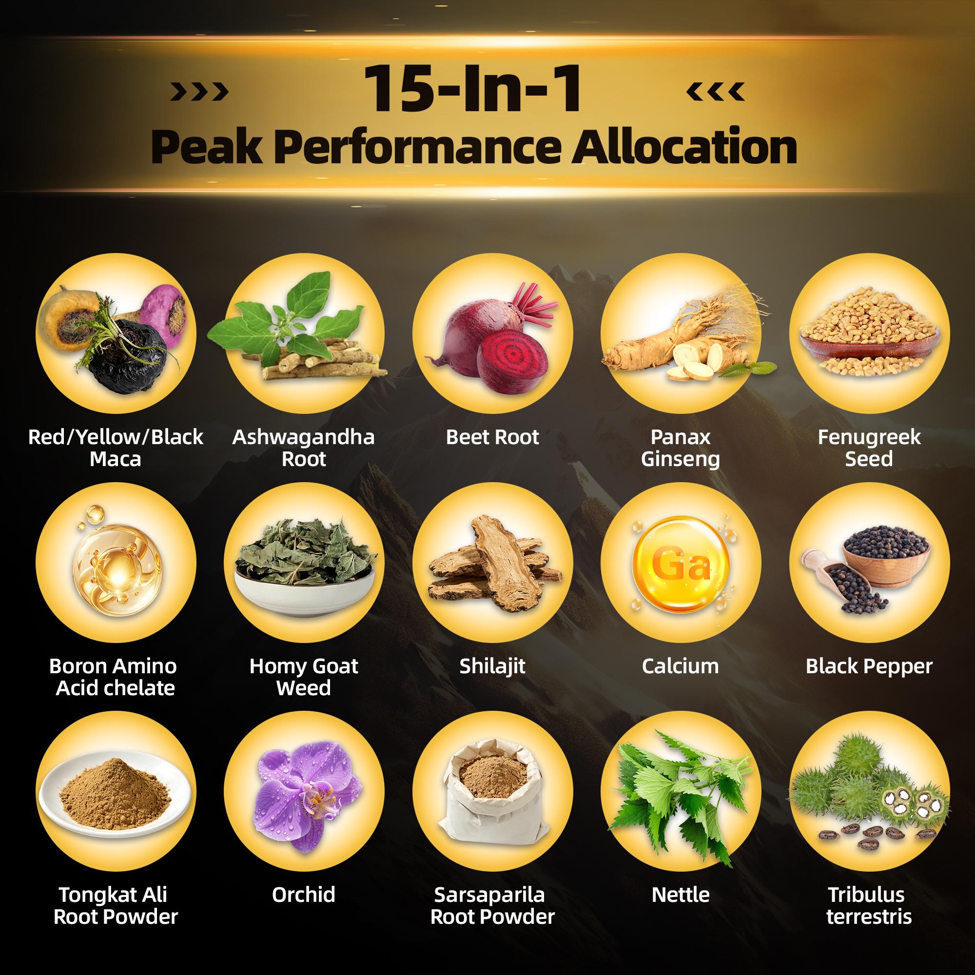 HiPlus Men‘s Testosterone Boosters Power Complex Support  with Shilajit,Maca,Ashwagandha & Ginseng | Energy, Stamina & Focus - Supports Testosterone 300 Capsules