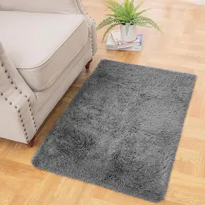 Small Throw Rugs for Bedroom 2x3 Non Slip Mini Area Rug Affordable Fluffy Grey Carpet Door Entryway Indoor Inside Front Entrance Dog Mat Home Decor Aesthetic Nursery Machine Washable Polyester Ultra Soft Non-Slip Shaggy Rug