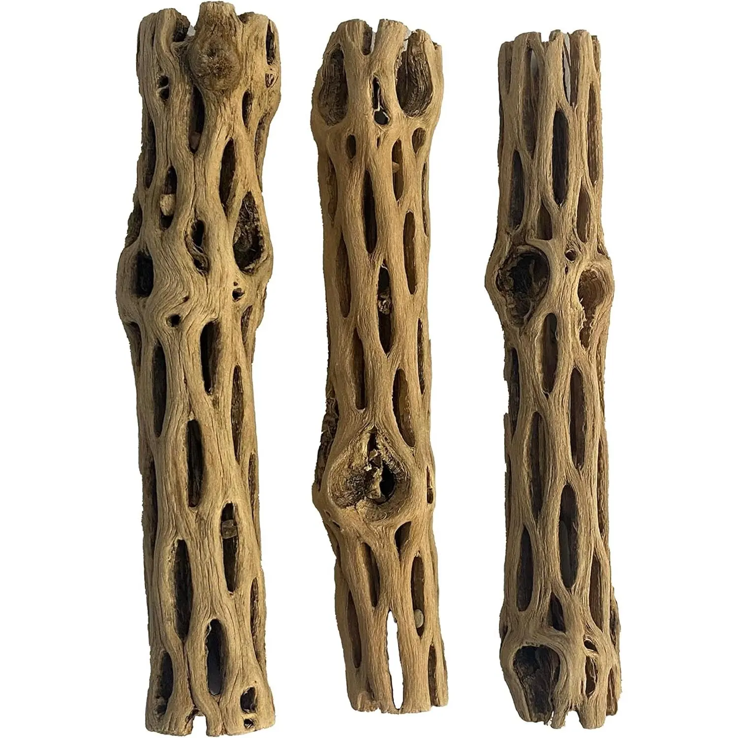 Cholla/Choya  3 count 6 for Shrimp Habitat and   Hermit Crabs Plecos Aquarium Decoration Lowers pH Hideouts and  Toys Reptiles Thorn Free Dried