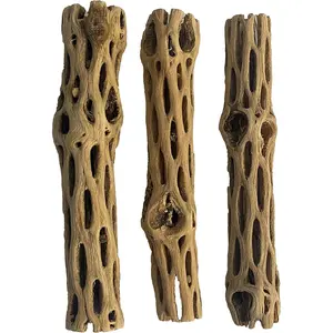 Cholla/Choya  3 count 6 for Shrimp Habitat and   Hermit Crabs Plecos Aquarium Decoration Lowers pH Hideouts and  Toys Reptiles Thorn Free Dried