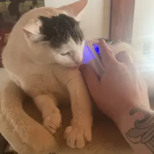 Pet Steam Brush,Cat Dog Hair Remover, Adjustable Pet Hair Remover,Pet Steamy Mist,Steam Pet Brush for Pet Hair 3-IN-1 Steamy Cat Brush Grooming Comb for Dogs Steam Brush for Cats Remove Flying Fur Steam Advanced Pet Hair Removal Comb pet pal brush