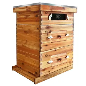 10-Frame Bee Hive Starter Kit for Beekeepers Dipped in 100% Beeswax Includes 2 Deep Box and 1 Medium Bee Box with Acrylic Window, Beehives Frames and Wax Foundations for Beginner Beekeepers