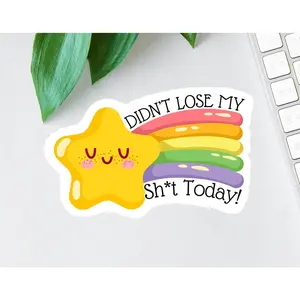 Didn't Lose My Sh*t Today Decal, Gold Star Sticker, Funny Office Decal, Funny mom gift, Laptop Decal, Water Bottle Decal, Nurse Magnet
