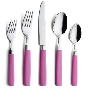 ANNOVA 20 Piece Silverware Set Stainless Steel Sleek Colorful Handle Assorted Color