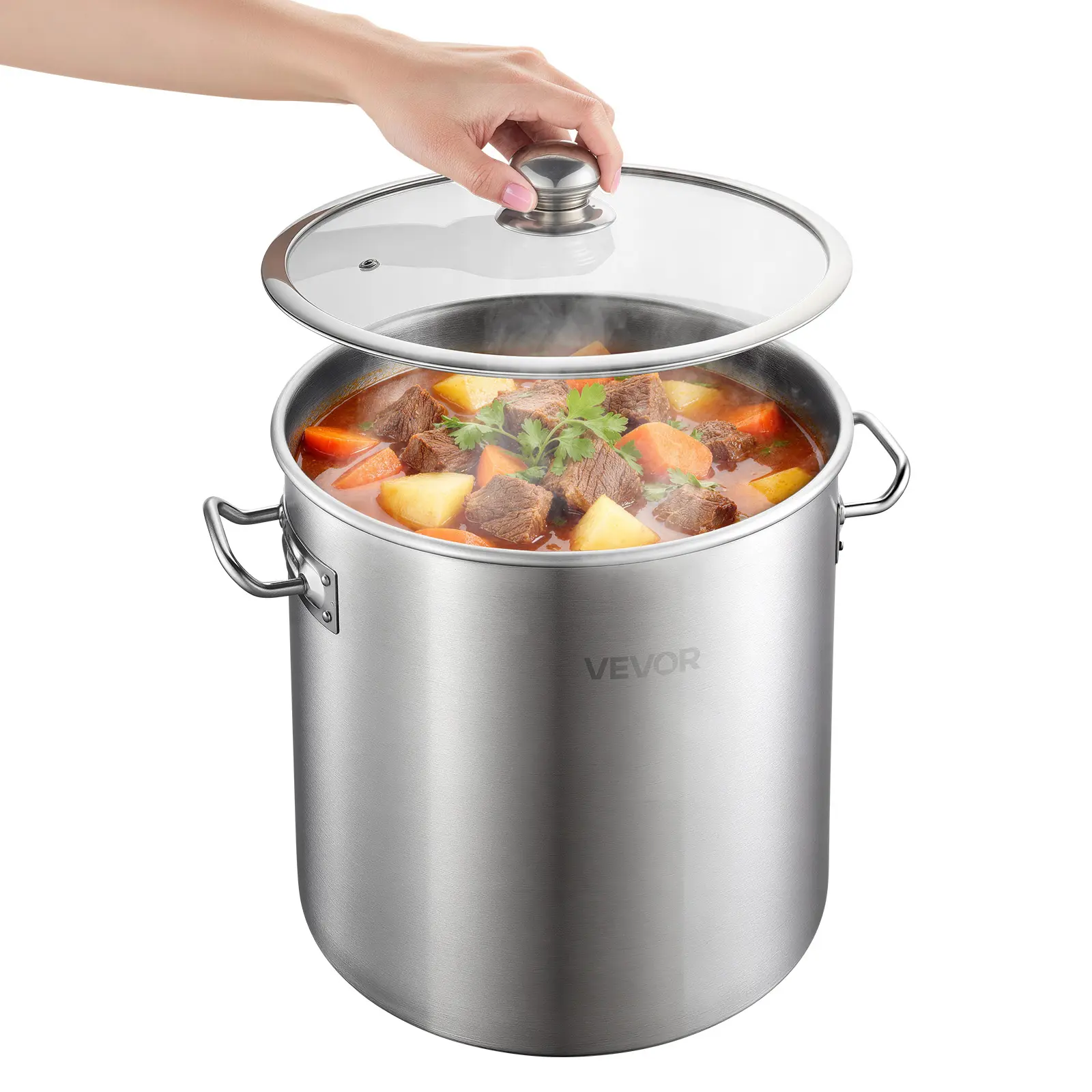 VEVOR 21-Quart Scorch Resistant Stainless Steel Stock Pot Cookware with Handles & Glass Lid, PFOA-Free, PFAS-Free, Compatible with Gas, Induction, Electric Stoves, Ideal for Soups Stews