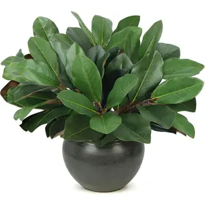6 PCS 22" Magnolia Leaves Artificial Greenery Stems 3D Real Touch Faux Magnolia Branches Fake Bird of Paradise Decorative Plants for Vase Kitchen Office Table Home Decor