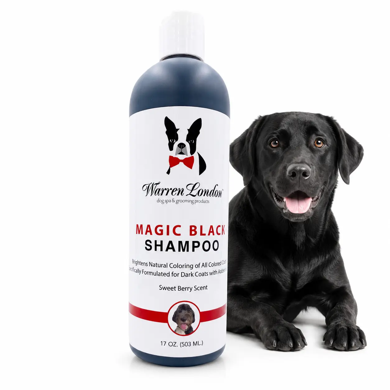 Warren London Magic Black Brightening Dog Shampoo, 17 Oz - Restores Natural Vibrance, Specialized For Dark Coats