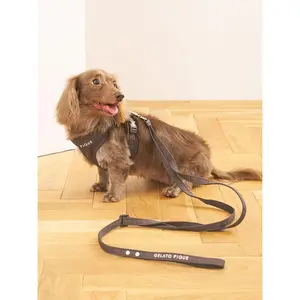 [CAT & DOG] Leash