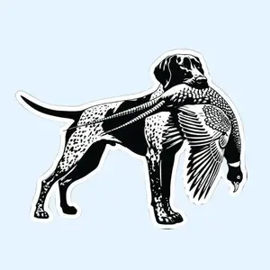 German Shorthaired Pointer Hunting Sticker, Pheasant Bird Dog Vinyl Decal, Cooler & Laptop, Hunting Dog Gift for Hunters & Dog Lovers, Water Resistant