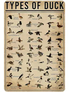 Vintage Duck Types Tin Sign 8x12 Inch for Home Office Farmhouse Man Cave Hunting Room Classroom Wall Art Decor Educational Rustic Design