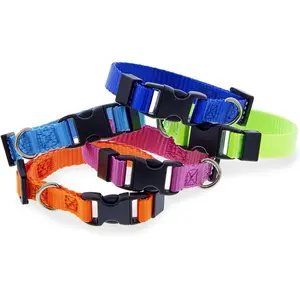 Personalized Extra Small Dog Collars- 6.5"-10" In- High Visibility- dog collar