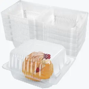 100 Pcs Clear Plastic Take out Containers,Disposable Clamshell Dessert Container with Lid, for Salads, Pasta, Sandwiches (5x4.7x2.8 in).