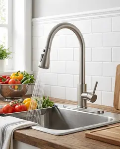 Faucets with Pull Down Sprayer, Brushed Nickel High Arc Single Handle Stainless Steel Sink Faucet for 1 or 3 Hole, Ideal for Farmhouse RV Laundry Bar Camper & Commercial