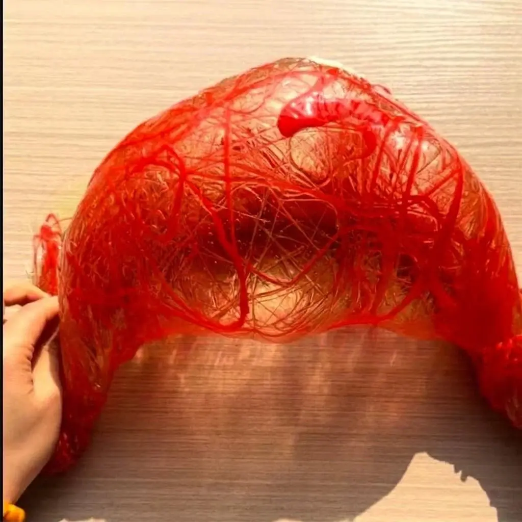 Alien Creature Observation Diary