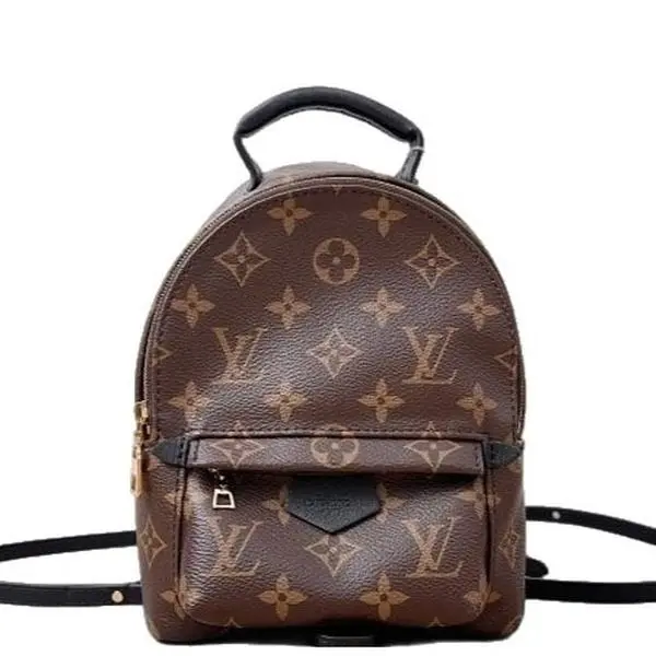 Pre-owned Louis Vuitton Palm Springs Backpack Mini Monogram Brown (jt101926o0r) [Shanghai]