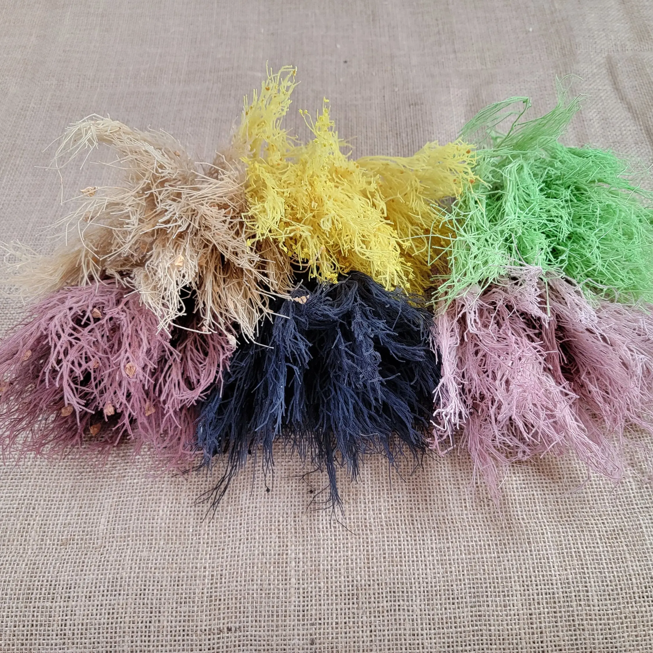 Beautiful natural preserved dream grass columbine High Quality –| Dried & Preserved Flowe| Dried Flower | Natural Flower | Preserved Flower