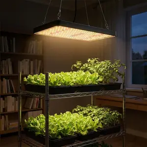Indoor Growing Plant Lamp, Hanging Full Spectrum LED Grow Light for Indoor Plants, Ideal for Veg to Bloom Stage, Perfect for Home Garden, Grow Tent & Greenhouse, Easy to Hang with Chain, Durable Plant Lamp, Let Plants Grow Vigorously