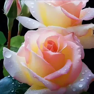 200 Pink Roses  – Elegant and Romantic Flower Set for Weddings, Anniversaries, Home Décor, and Special Gifts