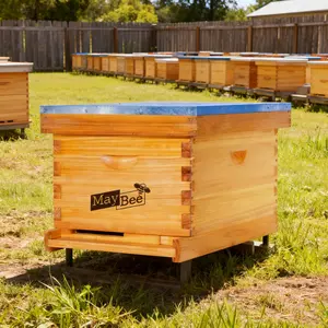 MayBee Hives 10-Frame Langstroth Complete Beehive Kit for Beginners, Preassembled Cedarwood-Pinewood Wax-Coated Deep/Medium Boxes, 100% Beeswax Plastic Foundations, 1x Bottom Board, 1x Entrance Reducer, Top Cover for Honey Storage