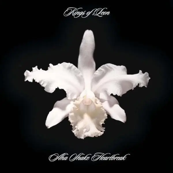 Kings of Leon - Aha Shake Heartbreak  [VINYL RECORD - LP] 180 Gram, Rmst, Reissue