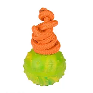 FDT - Solid Rubber Dog Ball on String