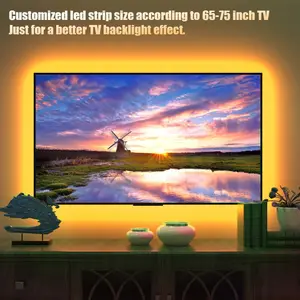 Tv Led Backlight,Maylit Pre-Cut 14.3ft Led Strip Lights for 65-75in Tv,4Pcs USB Powered Tv Lights kit with Remote,RGB Bias Lighting for Room Decor