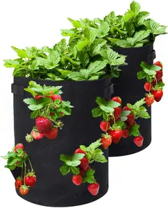 Strawberry Grow Bags, 2 Pack 10 Gallon Strawberry Planter with 8 Side Grow Pockets, Breathable Non-Woven Fabric Reinforce Handle Plant Grow Bag for Garden Strawberries, Herbs, Flowers magnetic  levitation Sturdy Reinforced