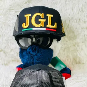 SPORT SNAPBACK HATS BORDADOS