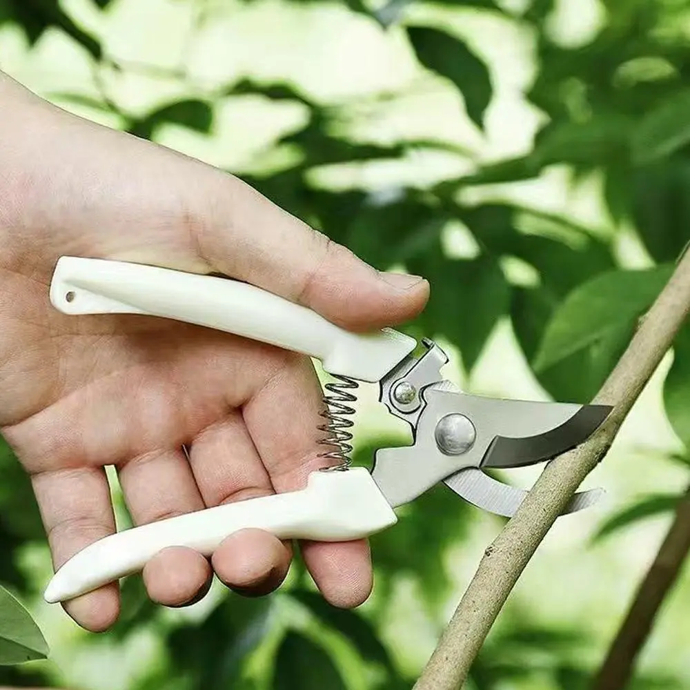 Garden Pruning Shear, Sharp Blades Pruning Tool for Cutting Flowers, Trimming Plants, Bonsai & Fruits Picking, Home Gardening Tools, Pruning Tools, Heavy Duty, Handle, Garden Anvil Trimmer, Pruners for Gardening