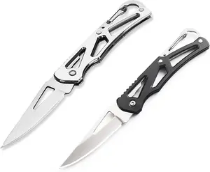 Men's Folding Knife Set 2 Piece 2.2inch High Hardness Stainless Steel Blades EDC Knife with Keychain Black and Silver for Camping Hiking Fishing