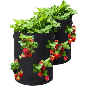 Strawberry Grow Bags, 2 Pack 10 Gallon Strawberry Planter with 8 Side Grow Pockets, Breathable Non-Woven Fabric Reinforce Handle Plant Grow Bag for Garden Strawberries, Herbs, Flowers