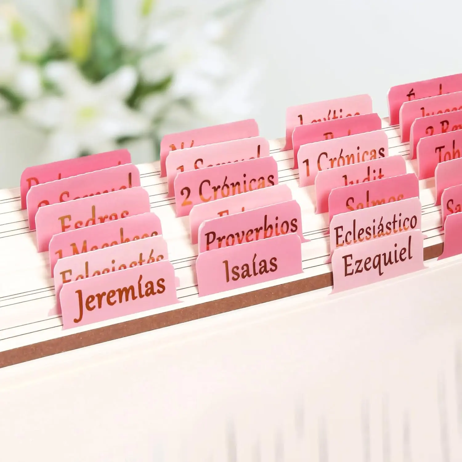 Spainish Bible Tabs for Women, Pestañas para Biblia en Español, Bible Tabs en Español, Anti-Wrinkle Tabs for Study, Large Gold Font, Waterproof Chapter Tabs
