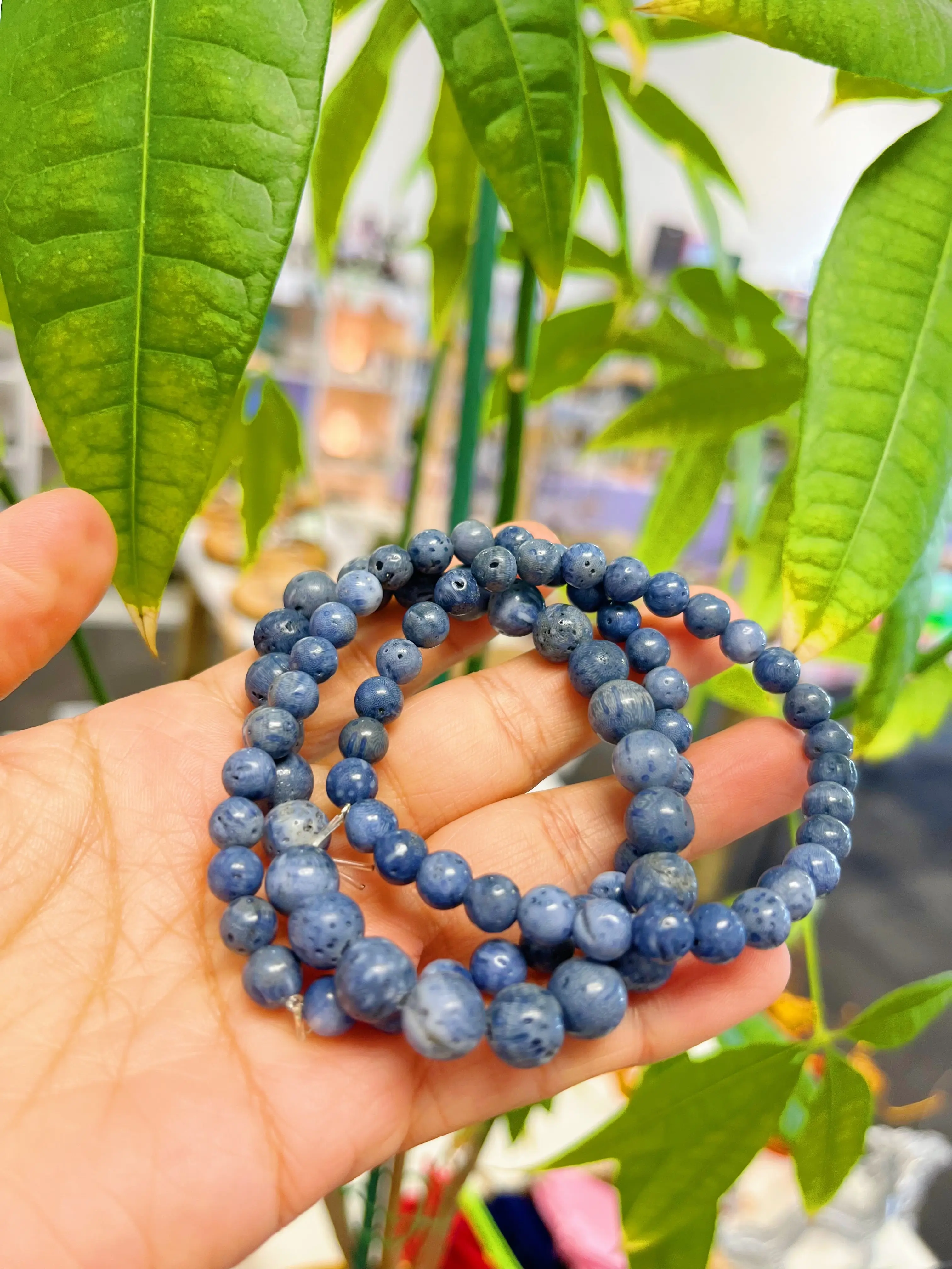 Heliopora coerulea blue coral Bracelet