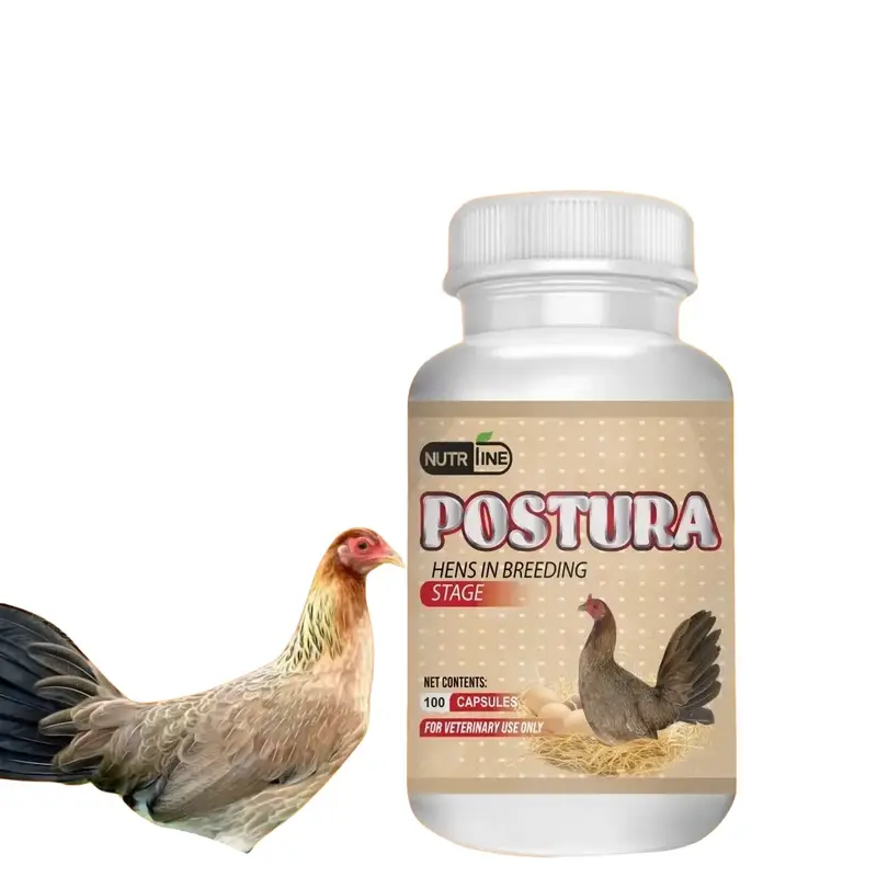 OSSIGENATORE STATICO PER LUBROREFRIGERANTE CON COMPRESSORE AD ARIA COMPRESSA - Foto 9