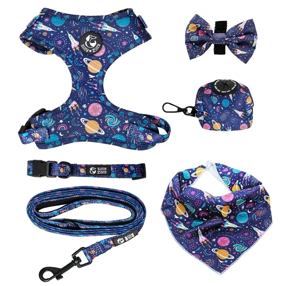 Dog Harness and Leash 5 Piece Set in Leopard Print for Pet Training and Walking