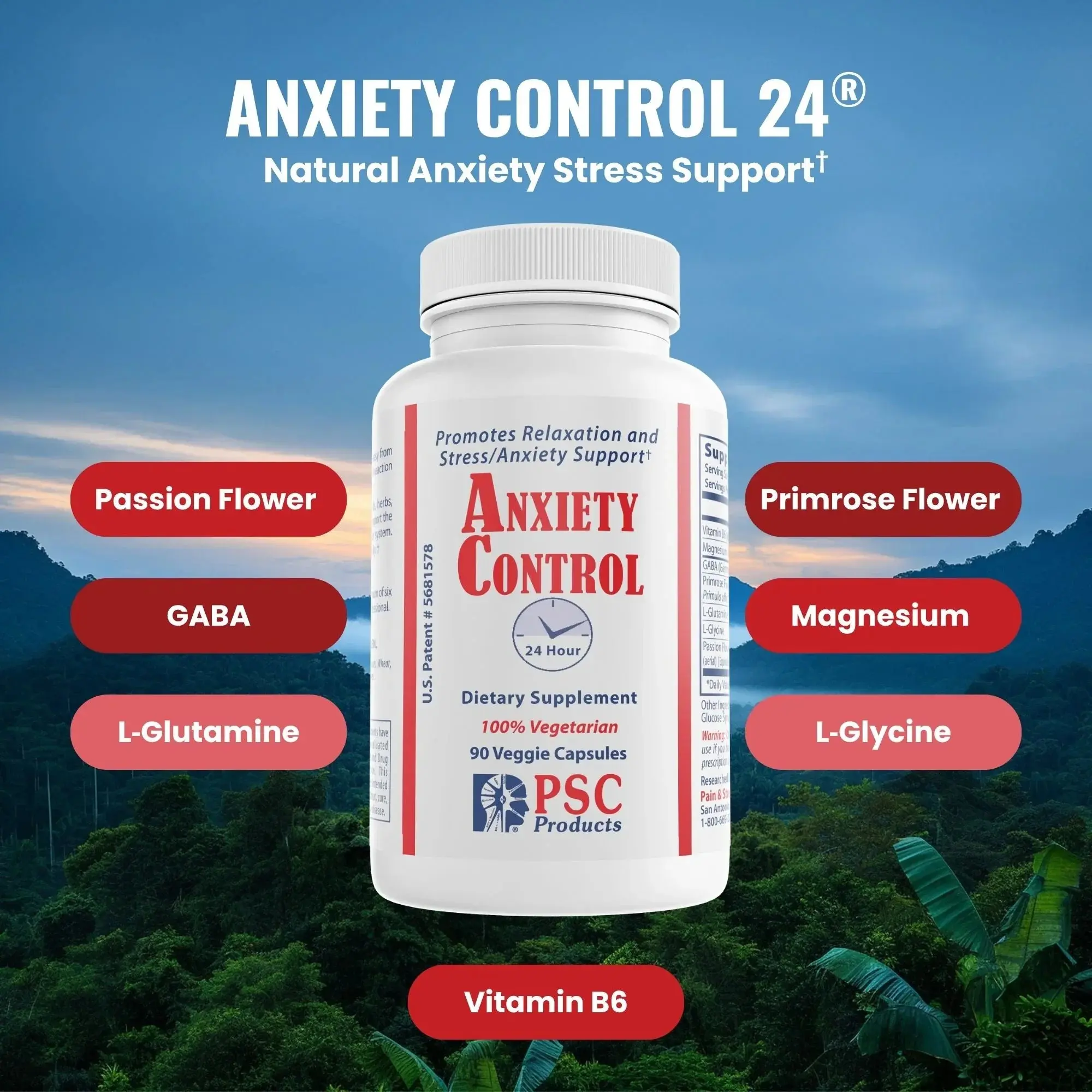 Anxiety Control 24® - Natural Stress & Anxiety Relief with GABA, Magnesium, Vitamin B6 - 90 Veggie Capsules for Calm Neurotransmitters & Restful Sleep