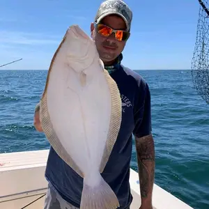 background preload poster image 