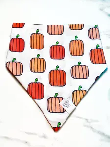 Pup-Kin Dog Bandana