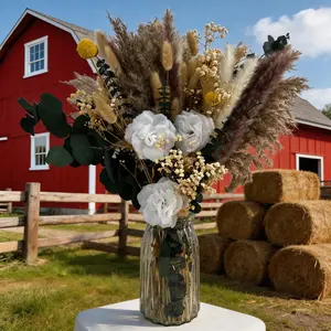 Photo backdrop: perfect for content creators & brand shoots