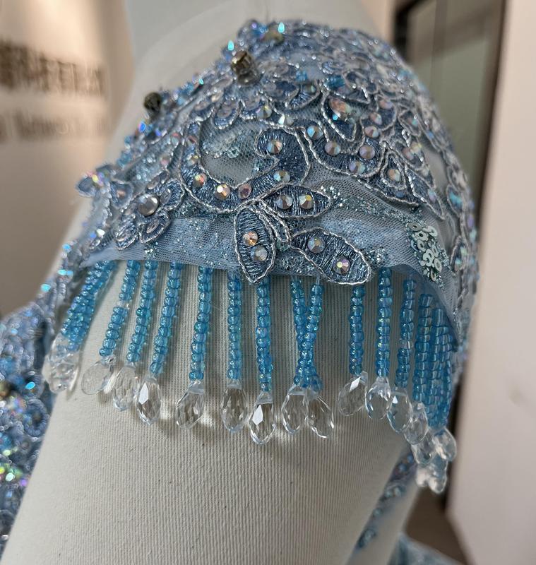 NO.4 Floral Patterned Glitter Quinceañera Dress Burgundy/Gold L.blue Blush Ball Gown Dress