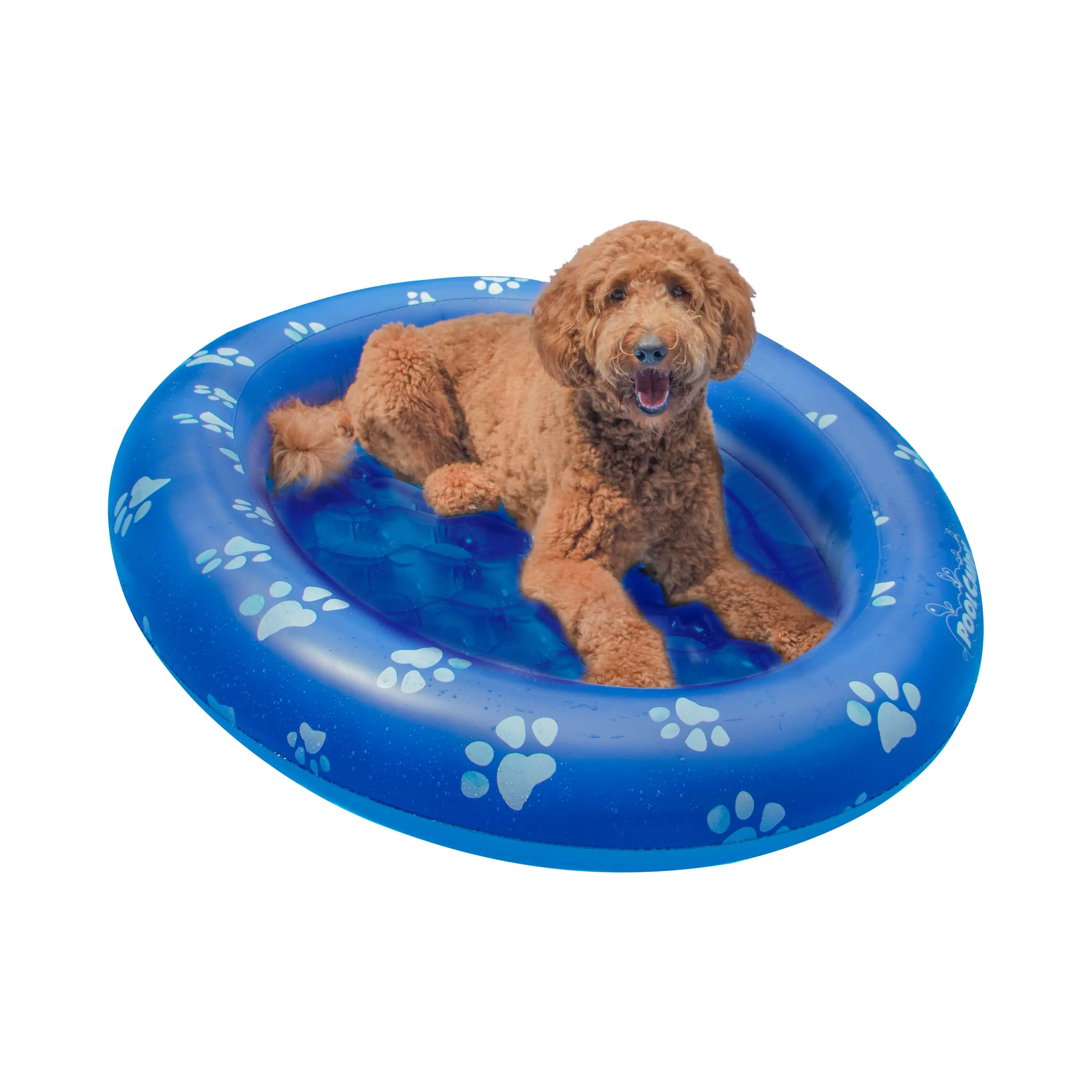 POOLCANDY Large-Size Inflatable Dog Water Floater - PVC Plastic, 100 lbs Weight Capacity, Ideal for Sports & Fun Pool Floats, Inflatable Floats Use