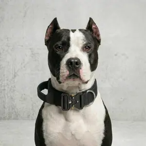 Heavy Duty Tactical Dog Collar for Medium Large Dogs, Premium Padded Training Collar with Control Handle & Metal Buckle
