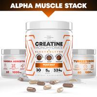 Creatine + Electrolyte - Orange Sherbet