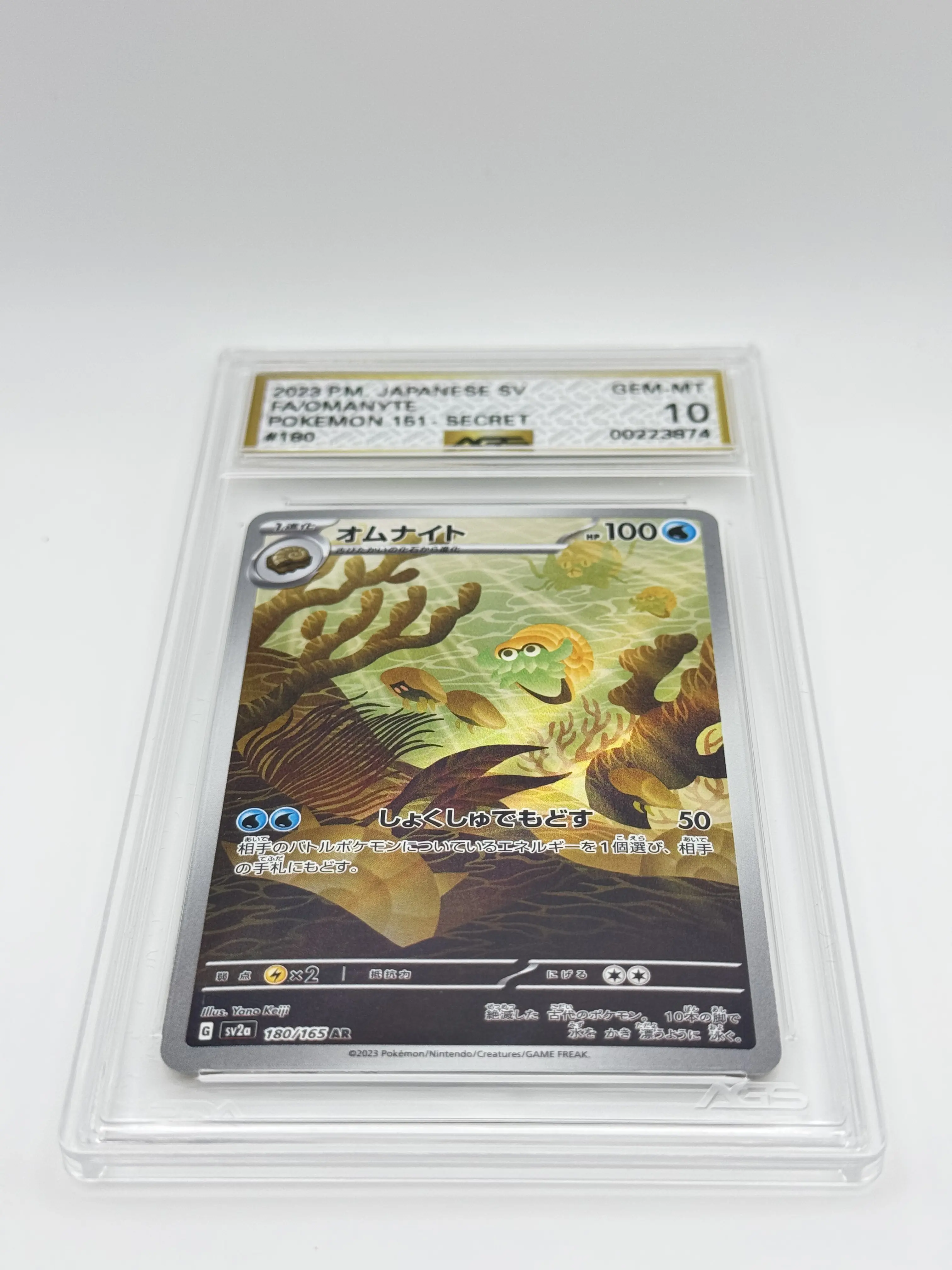 cgc graded card lookup Charizard ex 054/091 [Holo, Graded AGS 9.5] SV: Paldean Fates (PAF) –  Alchemist's Refuge main image 0
