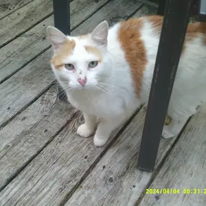 Product Review of Digital Camera, 1080P & 44MP, 32G Memory Card, 16X Digital Zoom, Compact & Portable Digital Camera Photos For Teens & Beginners, Gift #TOP PICKS,Boys & Men gifts from i**h