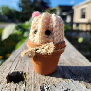 Homemade Colorful Cactus Baby Desk Buddy