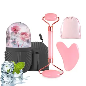 3-Piece Cooling Silicone Face Roller, Ice Roller Set with Storage Bag, Quartz Massage Head and Gua Sha Tool for Summer Puffiness Relief, Universal Beauty Tool for Eyes Neck and Face, Facial Care Instrument, Facial Care Tools